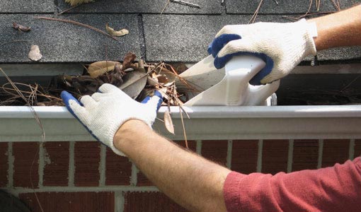 gutter-cleaning-and-leaf-removal